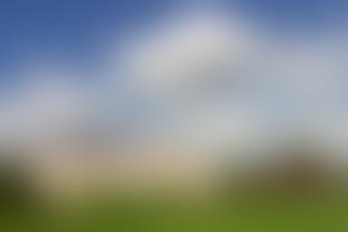 The Huntington Library, Art Museum, and Botanical Gardens