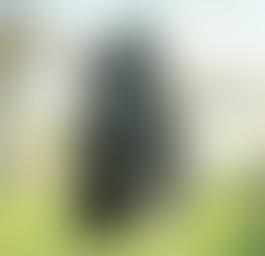 Acervo Artístico-Cultural dos Palácios do Governo do Estado de São Paulo - Palácio dos Bandeirantes