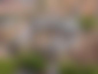 Musée des Beaux-Arts de Strasbourg