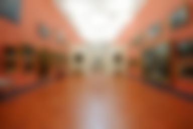 Museo Comtadin-Duplessis