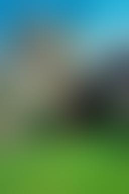 Баклэнд-Эбби