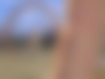 North Carolina Museum of Art