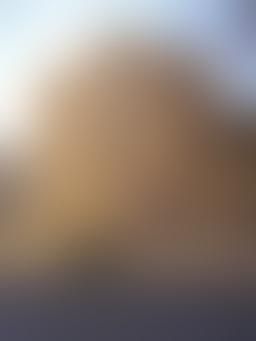 Coleção Momus — Museu de Arte Moderna — Costakis