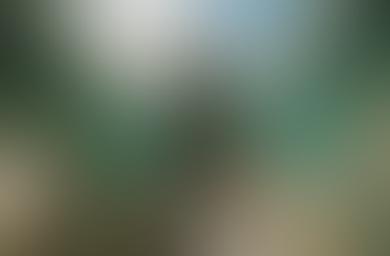 Musée des Beaux-Arts de Valenciennes