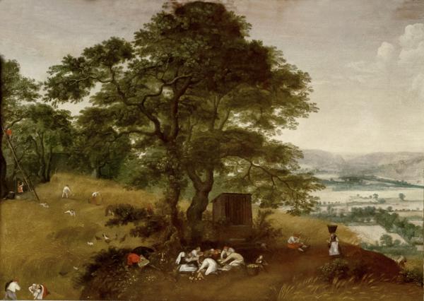 収穫 ルーカス・ファン・ファルケンボルフ FeelTheArt