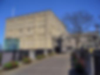 诺福克博物馆藏