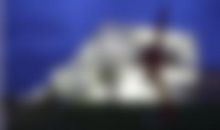 The Nelson-Atkins Museum of Art