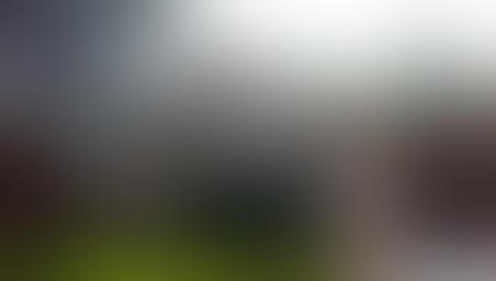 弗朗西丝·雷曼·勒布艺术中心