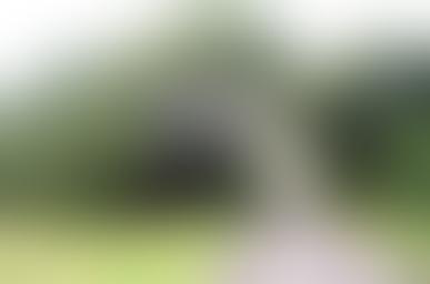 Поместье Сколтон