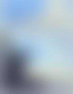 Jacques Goudstikker collection