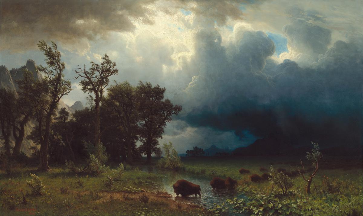 Buffalo Trail: The Impending Storm