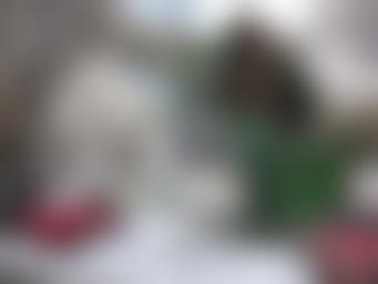 Casa museo di Viktor Vasnetsov