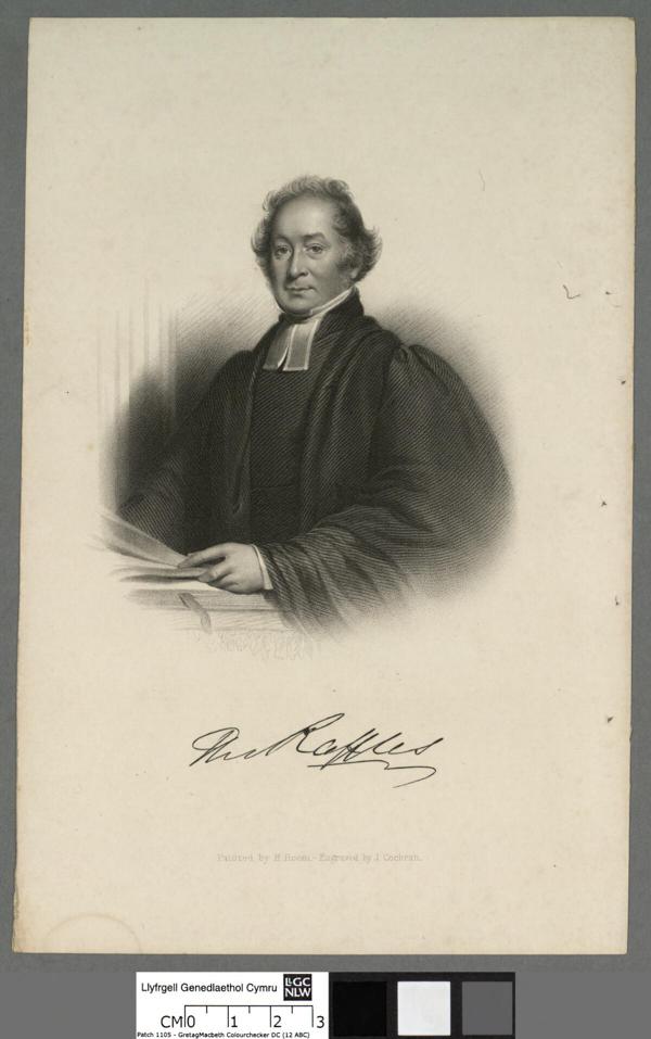 John Raffles Revd Raffles - John Cochran | FeelTheArt