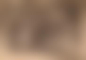 cappella della Santa Croce