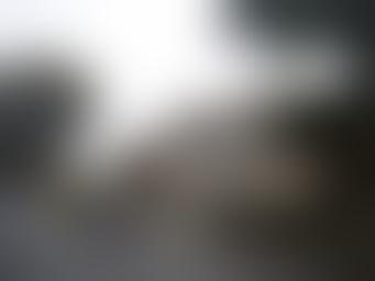 Musée et galerie d'art de Williamson