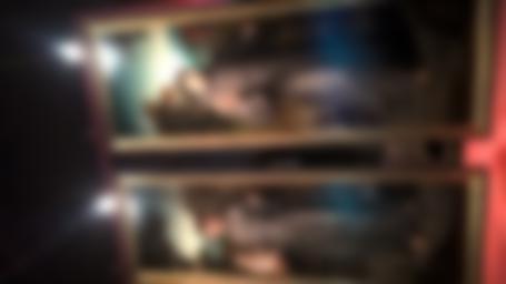 Tríptico de la Iglesia Matriz de Calheta