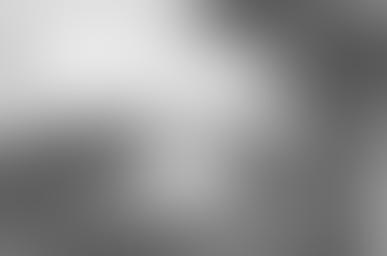 ベナカーホール