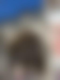 Lower Basilica of San Francesco