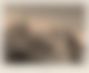 Colegio de Santo Tomás