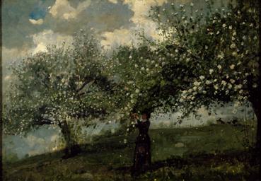 Ragazza che raccoglie i fiori di melo