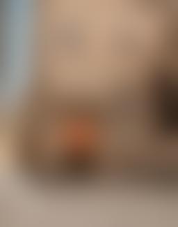 Museo Frederic Marès