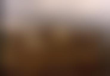 Museu de Arte e História de Cholet