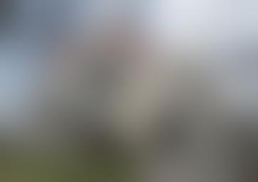 弗里克艺术与历史中心