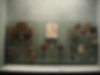 Room 330, display case 1