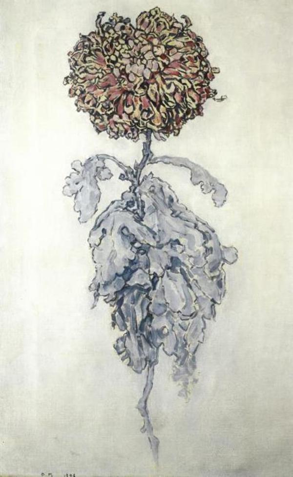 ピエト・モンドリアン「菊」【38cm × 29cm】デッサン ピエト・モンドリアン「菊」【38cm × 29cm】デッサン（ピート