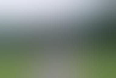 Château de Hampton Court