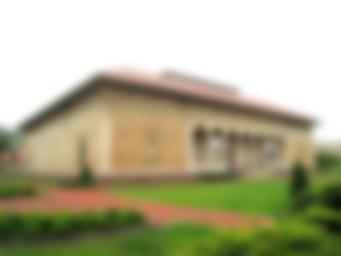 Museo d'arte Allen Memorial