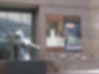 杨百翰大学艺术博物馆