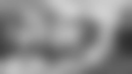 Фонд Досна-Тьерса