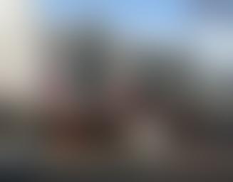 Galeria de arte de Dunedin