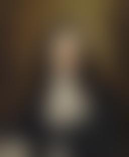 museo delle belle arti e del merletto