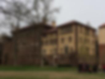 Princeton University Art Museum